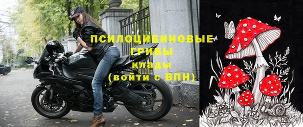 ГАЛЛЮЦИНОГЕННЫЕ ГРИБЫ Волоколамск