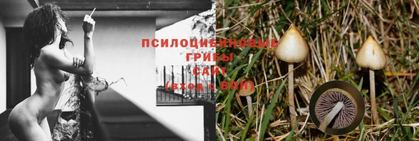 соль ск Володарск