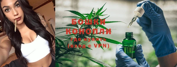 ГАЛЛЮЦИНОГЕННЫЕ ГРИБЫ Волоколамск