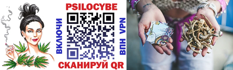 Галлюциногенные грибы Psilocybe Архангельск